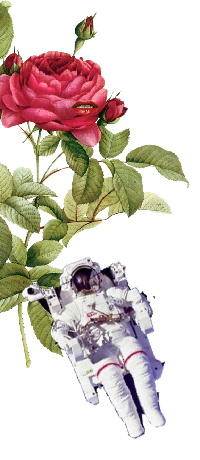 Astronaut and rose collage