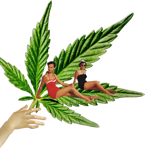 cannabis leaf collage